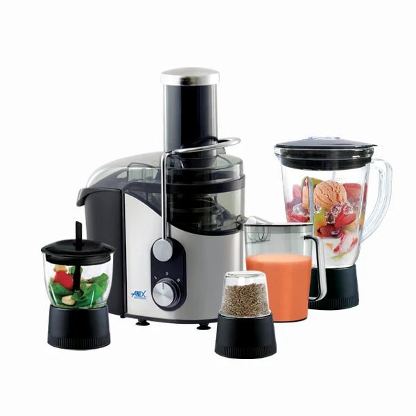 Anex 4-in-1 Juicer, Blender, Chopper & Grinder - Stainless Steel (AG-188GL) - Win Bachat