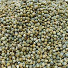 BIRD FOOD BAJRA - MILLET - 1 KG - Win Bachat