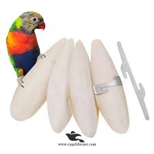 BIRD FOOD CUTTLEFISH BONE PIECES - 1 KG - Win Bachat