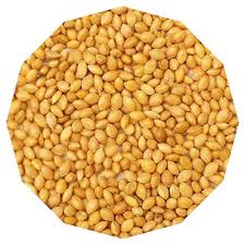 BIRD FOOD DESI KANGNI - FRENCH WHITE MILLET - 1 KG - Win Bachat