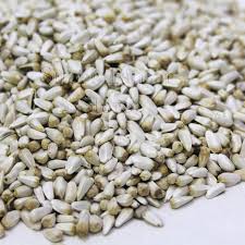 BIRD FOOD KURTAM - SAFFLOWER SEED - 1 KG - Win Bachat