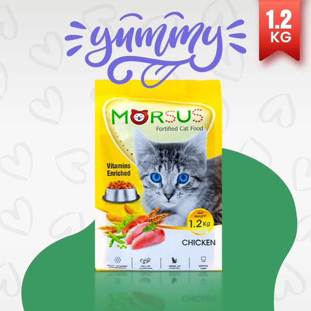 FORCHEW PREMIUM BITE CAT FOOD (REAL FISH, CHICKEN & LIVER RECIPE) - 1.2KG - Win Bachat