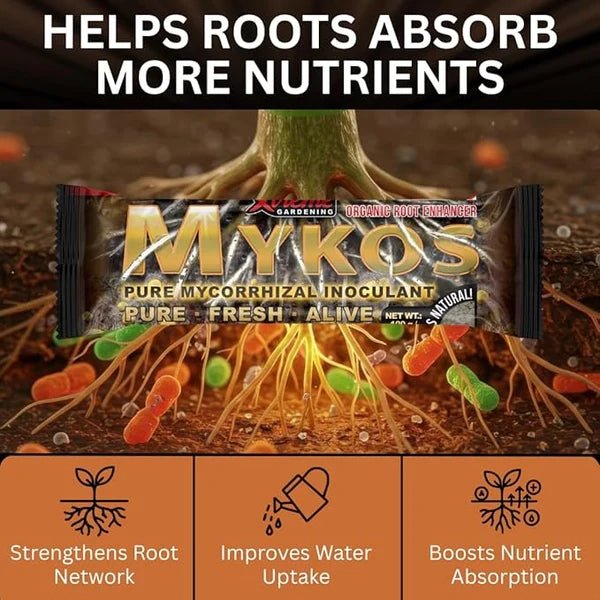 MYKOS Pure Mycorrhizal Inoculant – 100 g Root Enhancer - Win Bachat