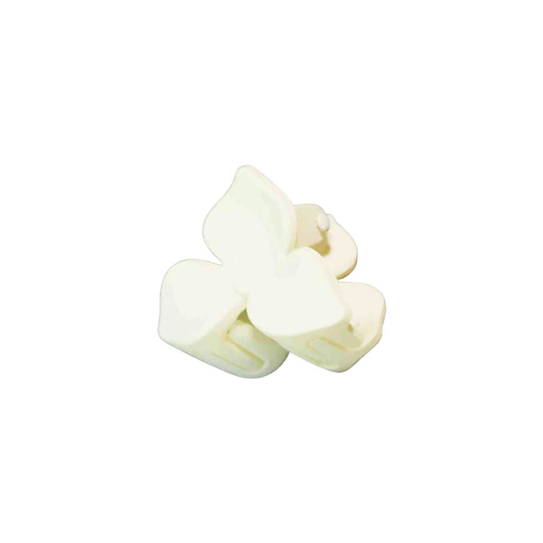 Best Plastic Hair Catcher 4s multi colourArt - 1A6 - 235 Online In Pakistan - Win Bachat