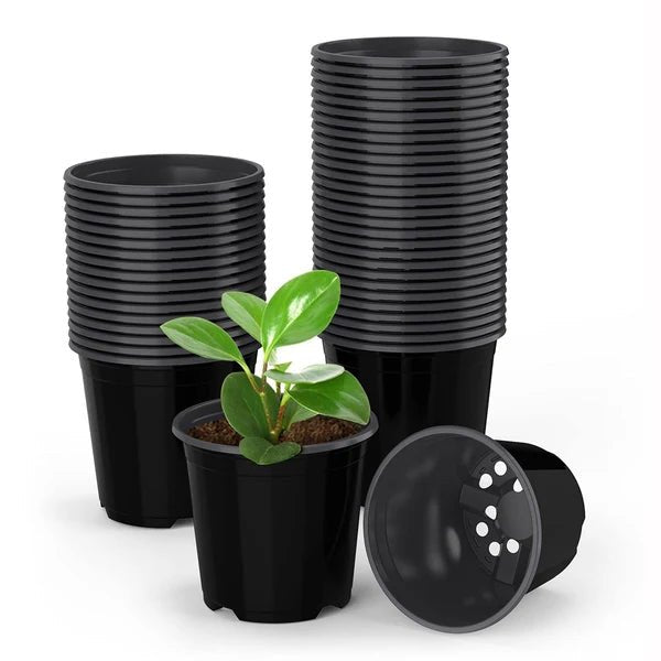 5-Inch Plastic Plant Pots – Packs of 3, 5 & 10 - Win Bachat