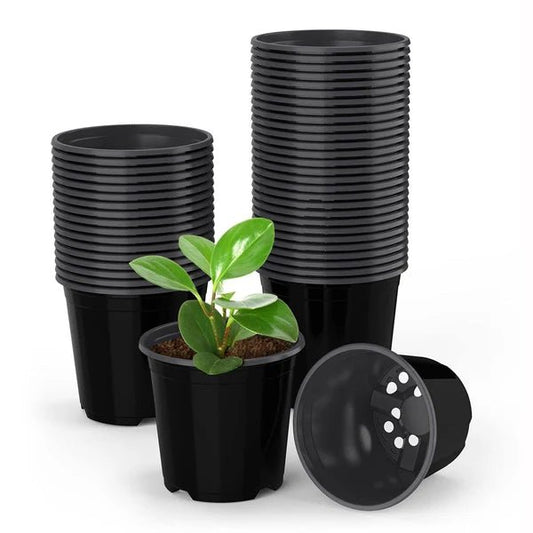 5-Inch Plastic Plant Pots – Packs of 3, 5 & 10 - Win Bachat