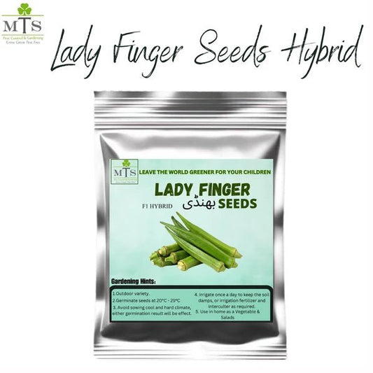 Bhindi F1 Hybrid Seeds – Lady Finger Okra Seeds for Home Gardening - Win Bachat