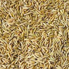 BIRD FOOD CHONA - PADDY RICE (SARI) - 1 KG - Win Bachat
