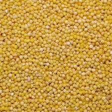 BIRD FOOD GOL KANGNI - YELLOW MILLET - 1 KG - Win Bachat