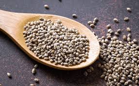 BIRD FOOD HEMPSEED - BANG - 1 KG - Win Bachat