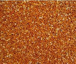 BIRD FOOD LAL CHEENA TAJIK BAREEK - 1 KG - Win Bachat