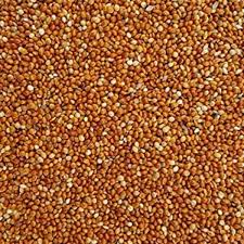 BIRD FOOD LAL KANGNI - PANICUM RED -1 KG - Win Bachat