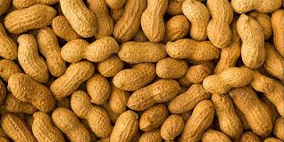BIRD FOOD PEANUT SABUT - 1 KG - Win Bachat