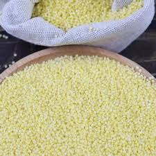 BIRD FOOD WHITE CHEENA - BROOMCORN MILLET - 1 KG - Win Bachat