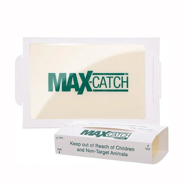 Catchmaster Max-Catch Mouse & Insect Glue Trap – Pack of 1 - Win Bachat