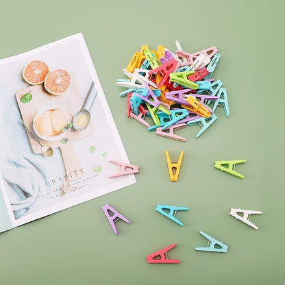 Clothespins Plastic Colorful Clips (50 pcs) - Win Bachat