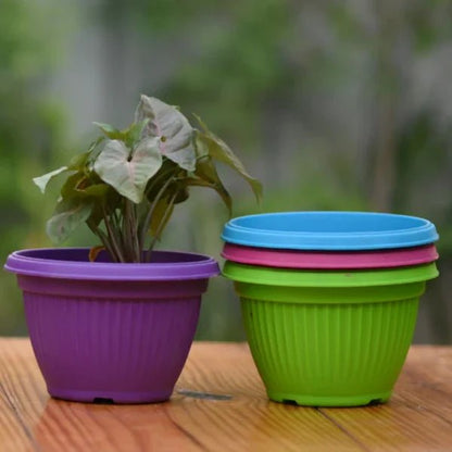Colorful Hanging Flower Pots – Pack of 10 Plastic Hanging Planters - Win Bachat