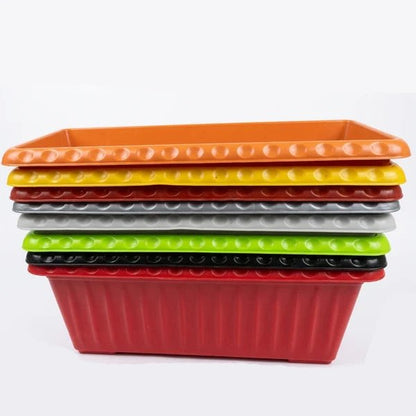 Colorful Seedling Tray – Pack of 1, 8 Colors Available - Win Bachat