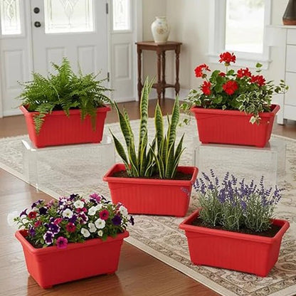 Colorful Seedling Tray – Pack of 1, 8 Colors Available - Win Bachat