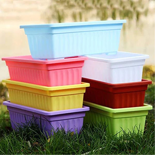 Colorful Seedling Tray – Pack of 1, 8 Colors Available - Win Bachat