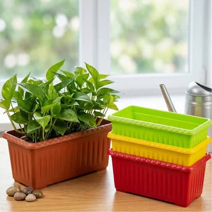 Colorful Seedling Tray – Pack of 1, 8 Colors Available - Win Bachat