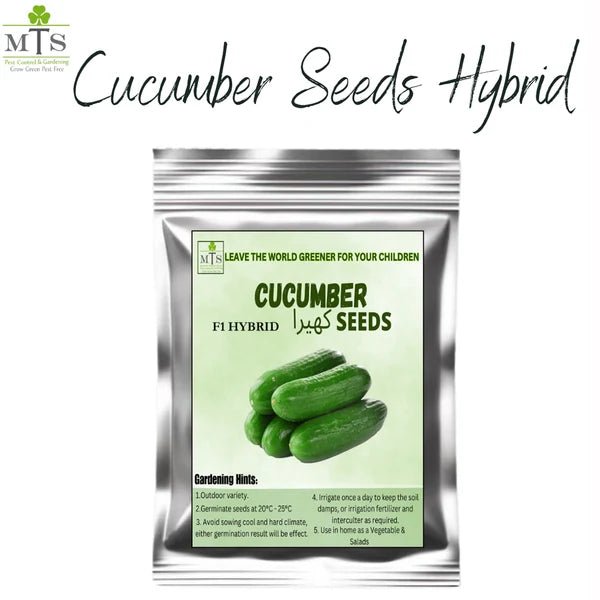 Cucumber F1 Hybrid Seeds – Vegetable Seeds for Home Gardening - Win Bachat