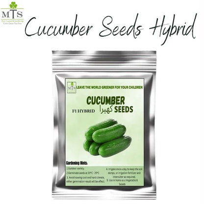 Cucumber F1 Hybrid Seeds – Vegetable Seeds for Home Gardening - Win Bachat