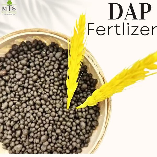 DAP Fertilizer 1KG – High Phosphorus Plant Growth Booster - Win Bachat
