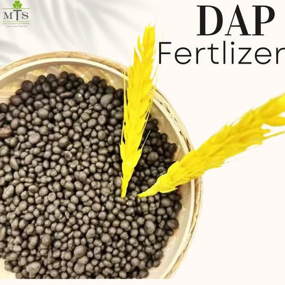 DAP Fertilizer 1KG – High Phosphorus Plant Growth Booster - Win Bachat