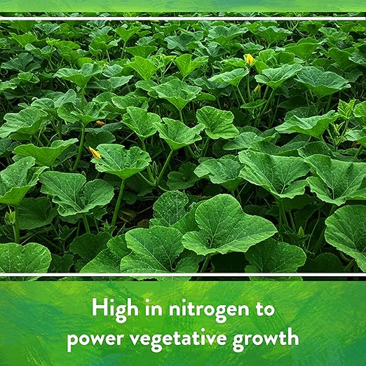 Down To Earth Bat Guano 7-3-1 Organic Fertilizer – 2 lb (0.91 kg) - Win Bachat