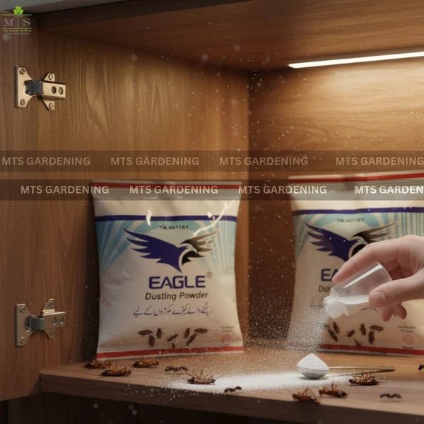 Eagle Dusting Powder – Cockroach & Crawling Insect Control - Win Bachat