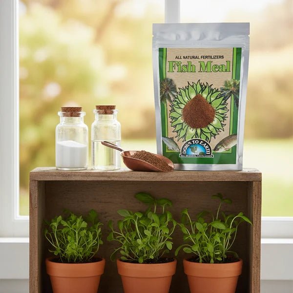 Fish Meal Fertilizer 500g – Natural Organic Plant Food - Win Bachat