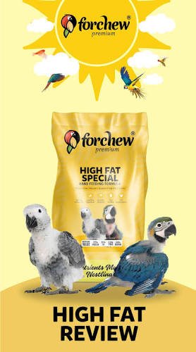 FORCHEW PREMIUM HIGH FAT HAND FEEDING FORMULA - Win Bachat