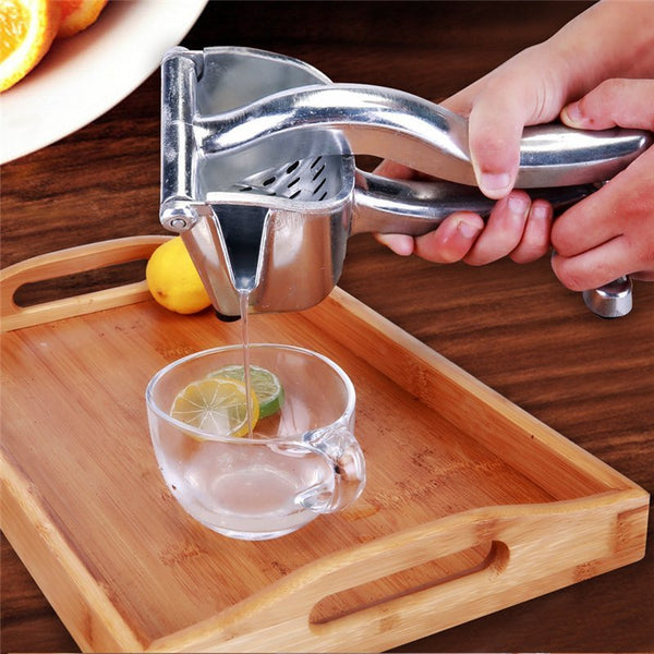 fruit press (steel) - Win Bachat