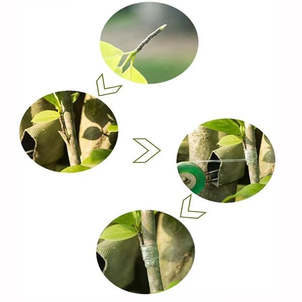 Grafting Tape Roll – Plant Grafting & Budding Tape - Win Bachat