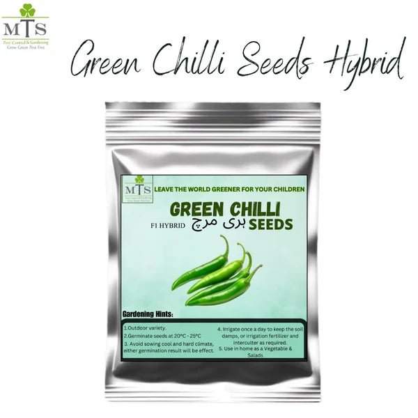 Green Chilli Seeds – F1 Hybrid Vegetable Seeds for Home Gardening - Win Bachat