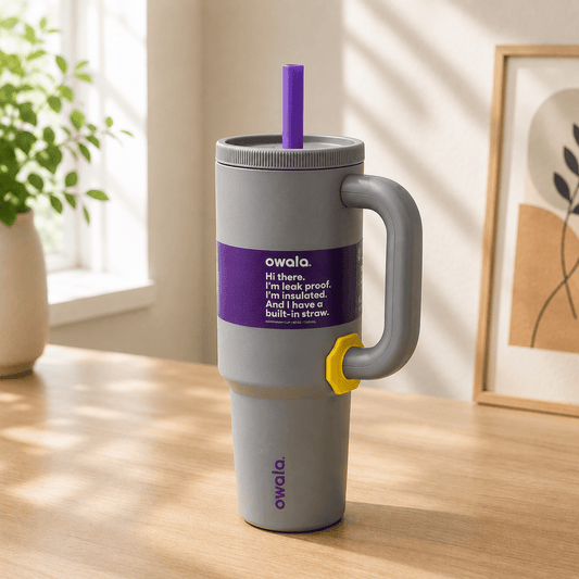 Grey Insulated Tumbler with Handle & Built-in Straw - Win Bachat