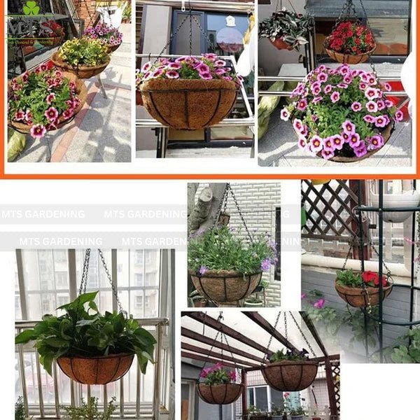 Hanging Coco Basket Planter with Chain – 8, 10, 12 & 14 Inch Sizes - Win Bachat