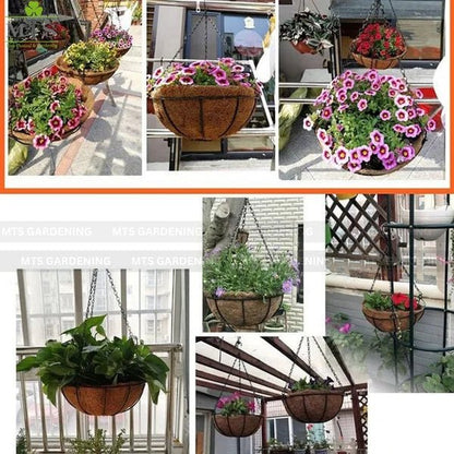 Hanging Coco Basket Planter with Chain – 8, 10, 12 & 14 Inch Sizes - Win Bachat