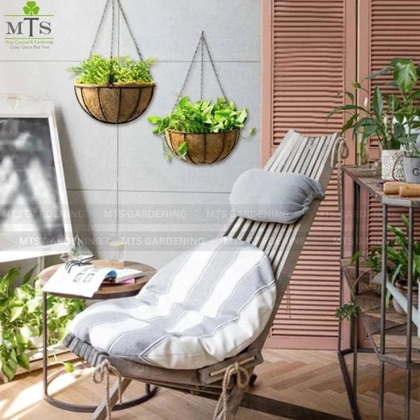 Hanging Coco Basket Planter with Chain – 8, 10, 12 & 14 Inch Sizes - Win Bachat