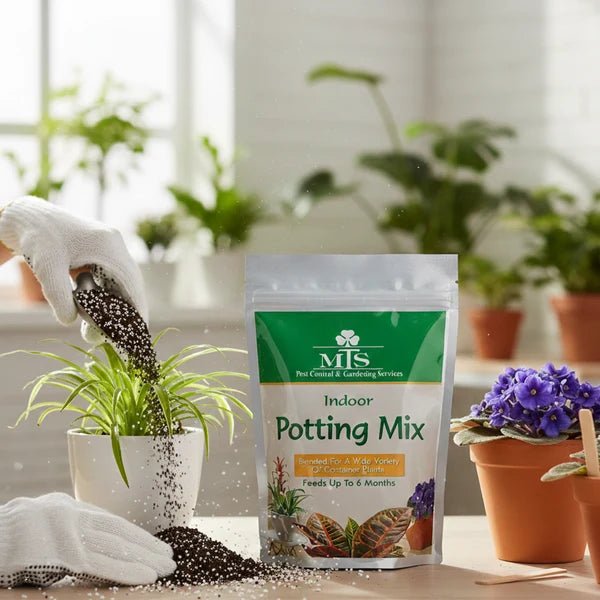 Indoor Potting Mix 1kg – Premium Blend for Healthy Indoor Plants - Win Bachat