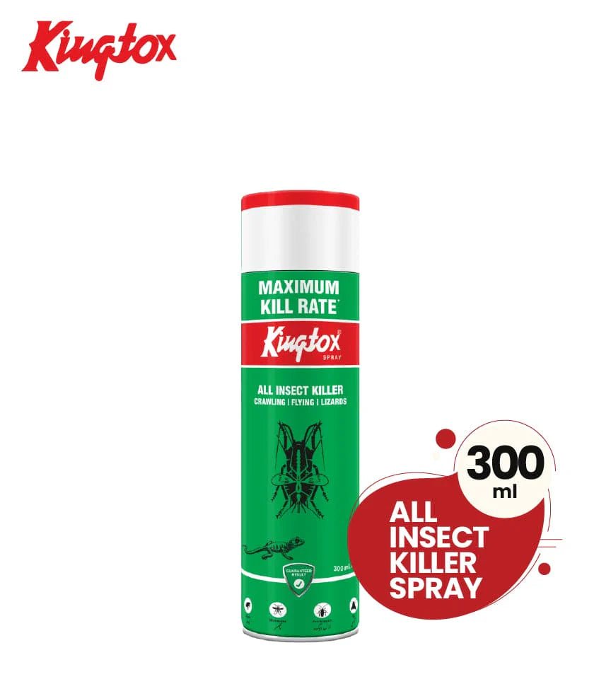 KINGTOX FLYING INSECTS KILLER SPRAY - 300ml (Green) - Win Bachat