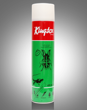 KINGTOX FLYING INSECTS KILLER SPRAY - 600ml (Green) - Win Bachat