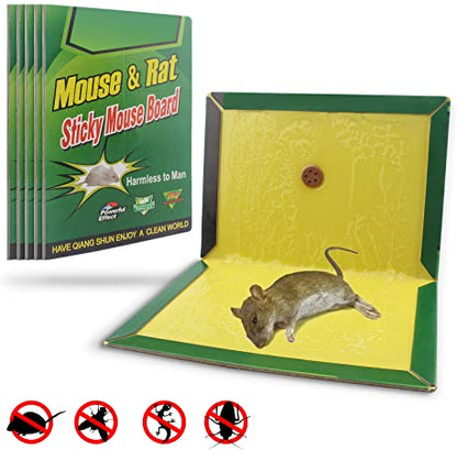 Mouse trap book - Win Bachat