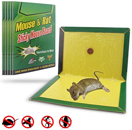 Mouse trap book - Win Bachat