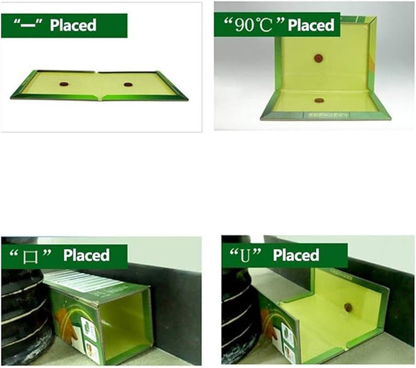 Mouse trap book - Win Bachat