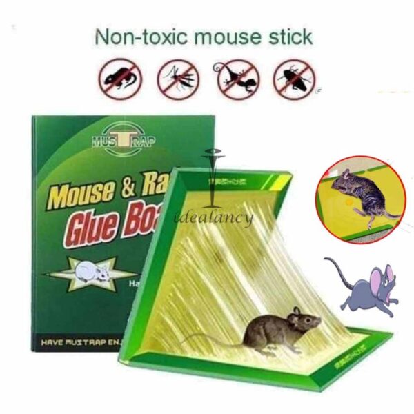 Mouse trap book - Win Bachat