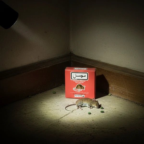 Musal Rat Killer – Bromadiolone Rodent Poison - Win Bachat