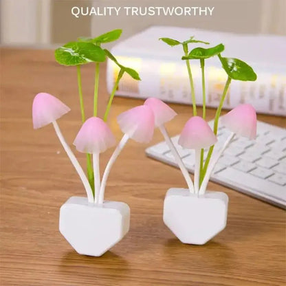 Mushroom light (small) - Win Bachat