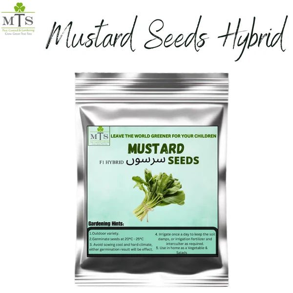 Mustard Seeds (Sarson) – F1 Hybrid Seeds for Home Gardening - Win Bachat